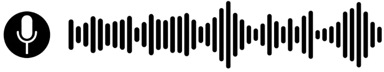 Microphone and voice waveform